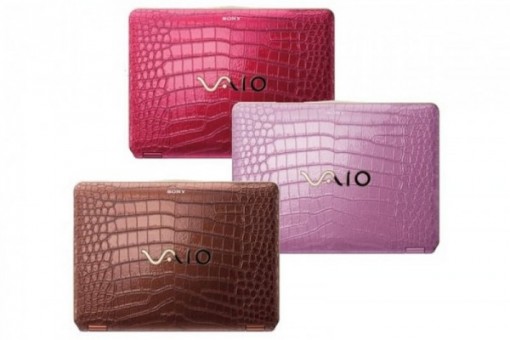 Sony vaio serie p cocodrilo 7