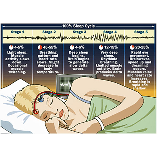 Controla tus ciclos de sueño