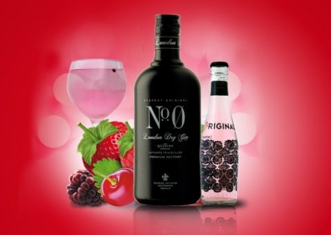 Gin tonic, la bebida de moda 7