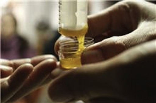 La cosmética en Europa no puede ser testada en animales 3