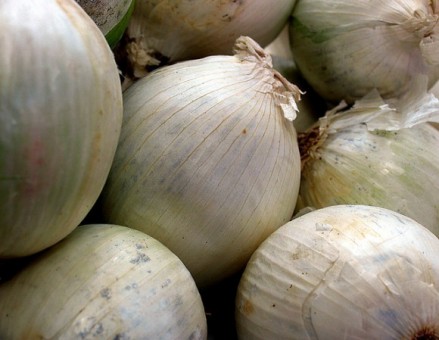 Alimentos curativos