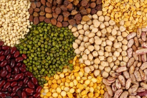 Alimentos que queman grasas (Parte II) 6 Alimentos que queman grasas