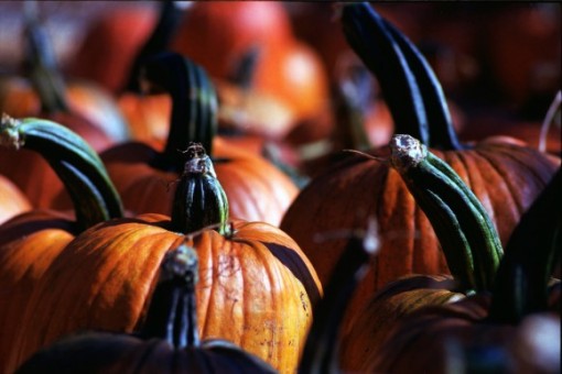 Recetas para halloween